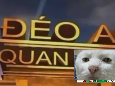 Top 24 meme không quan tâm cực lầy lội khiến bạn cười xỉu