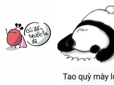 Top 99 Meme quỳ lạy siêu hài hước cho dân mạng