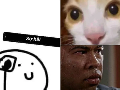 Top bộ sưu tập sợ hãi meme cực lầy lội xem là cười