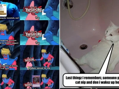 Top các meme da den hài hước khiến bạn cười không nhặt được mồm