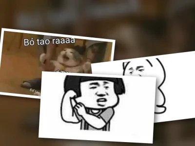Top đừng cản tao meme bá đạo nhất cho dân mạng lầy lội