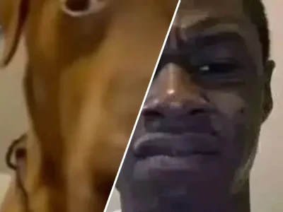 Top meme bối rối gãi đầu hài hước cho mọi cuộc hội thoại