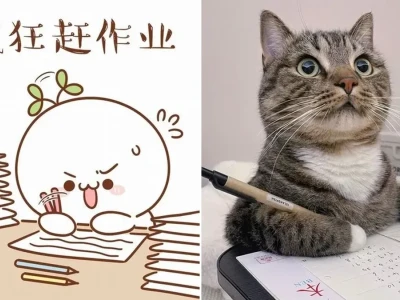 Top meme học tập bá đạo cho hội lầy lội mùa thi cử
