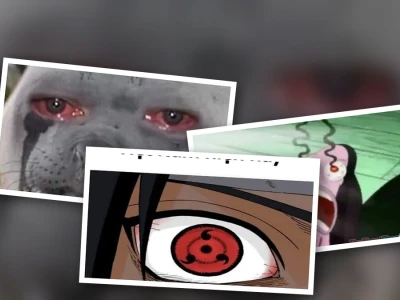 Top Meme Mắt Đỏ Cực Lầy Cho Hội Hay Thức Đêm Cày Deadline