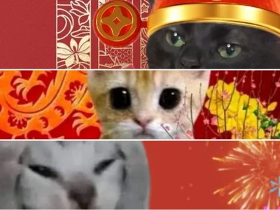 Top meme mèo tết cực lầy lội cho xuân Ất Tỵ thêm rộn ràng