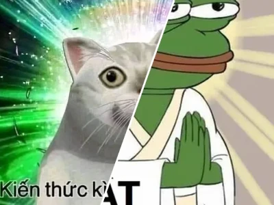 Trải nghiệm giác ngộ meme đỉnh cao đầy cười nghiêng ngả