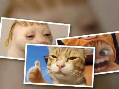 Tuyển tập anhr meme hài hước nhất cho dân chơi hệ số