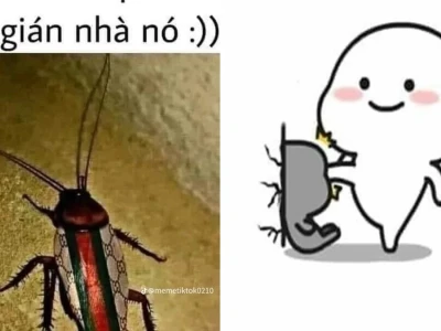 Tuyển tập gián meme cực bựa làm dậy sóng cộng đồng mạng