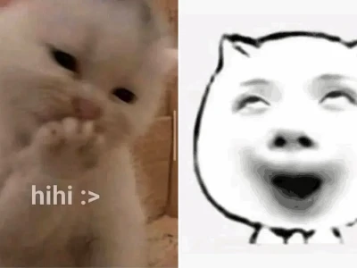 Tuyển tập hihi meme cực lầy lội khiến dân mạng cười nghiêng