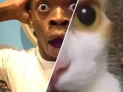 Tuyển tập hốt hoảng meme cực hài cho dân mạng hay dùng