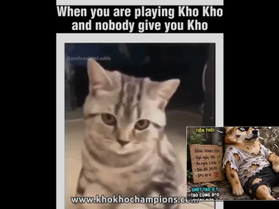 Tuyển tập kho meme hài hước cực bựa cho dân chơi