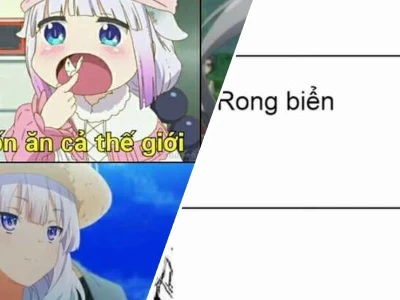 Tuyển tập meme anime chế lầy lội cười không ngậm được mồm