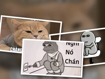Tuyển tập meme chán đời nhìn phát thấy chính mình ngay