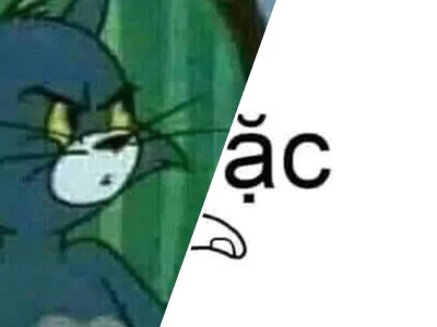 Tuyển tập meme con cu cực lầy lội khiến hội bạn cười xỉu