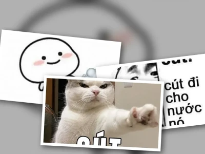Tuyển tập meme cút siêu lầy lội đuổi khách cực gắt