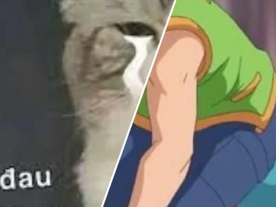 Tuyển tập meme đau đớn gục ngã cười xỉu cho hội người lười