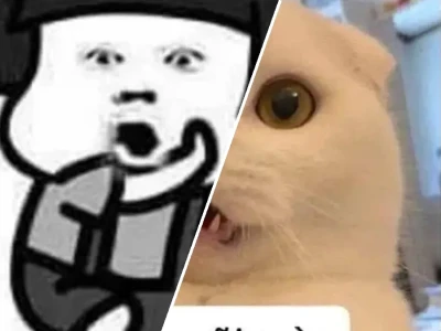 Tuyển tập meme hết hồn khiến bạn cười lăn cười bò mỗi ngày