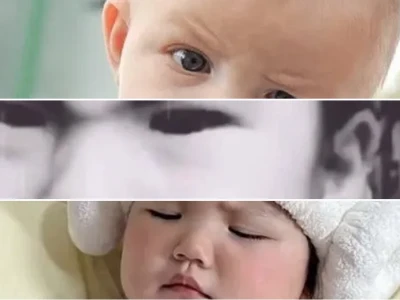 Tuyển tập meme mặt nhăn cực hài cho dân mạng khó ở
