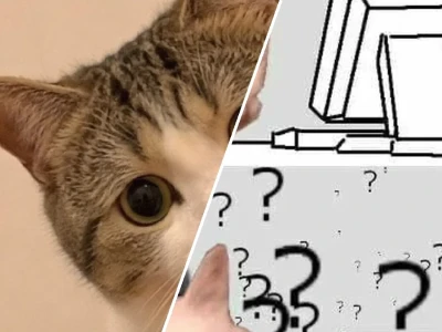 Tuyển tập meme mèo hỏi chấm biểu cảm hoang mang cực hài