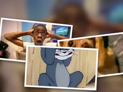 Tuyển tập meme ôm đầu cực hài hước cho ngày mệt mỏi