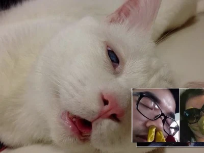 Tuyển tập meme say xe cực lầy lội khiến bạn cười ngất
