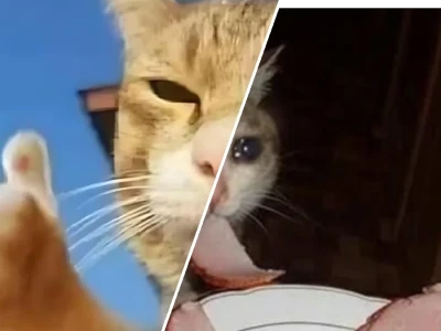 Tuyển tập meme thi cử hài hước cho mùa hạ đầy nước mắt
