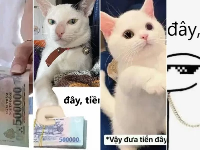 Tuyển tập meme tiền nè hài hước nhất cho dân chơi hệ nghèo