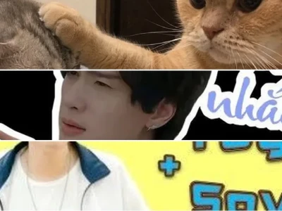 Tuyển tập nhacj meme cực cháy cho video TikTok thêm đỉnh