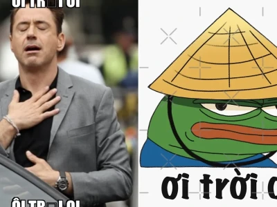 Tuyển tập troi oi meme gây cười muốn xỉu cực mặn